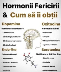 Hormonii fericirii: dopamina, oxitocina, endorfina și serotonina