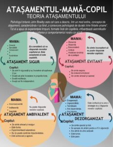 Diagramă explicativă despre teoria atașamentului( Bowlby), care prezintă cele patru stiluri de atașament: sigur, evitant, ambivalent- anxios și dezorganizat cu caracteristicile mamei și ale copilului pentru fiecare tip